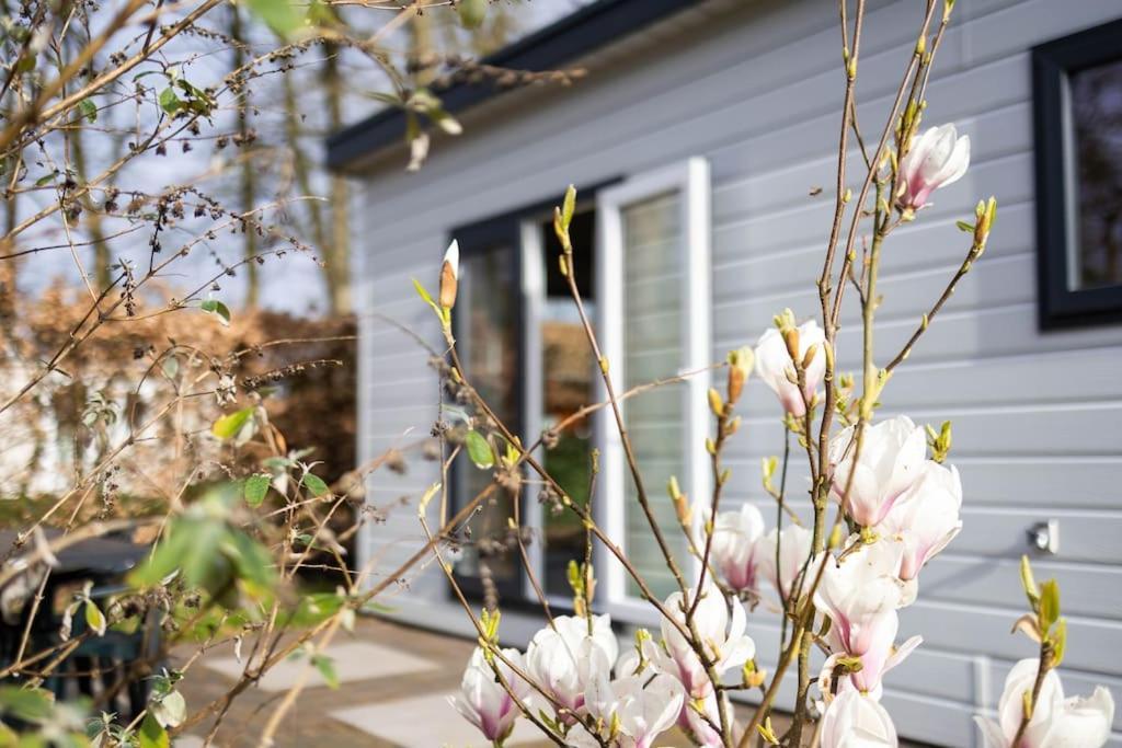 Gezellig Modern Chalet Midden Op De Veluwe Epe Exterior foto